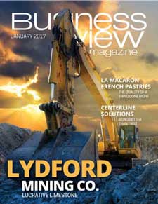 January 2017 issue cover for Business View Magazine, featuring Lydford Mining Co.