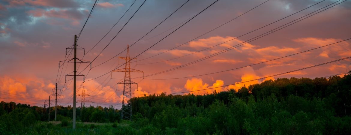Electro-Federation Canada. Powerlines surrounded by trees and an orange, red and pink sky behind.