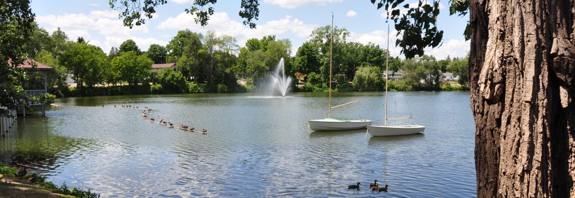 Tillsonburg Ontario. Summertime view of a lake with ducks floating with two sailboats behind.