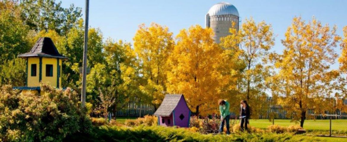 Winkler Manitoba, put put golf during the fall.