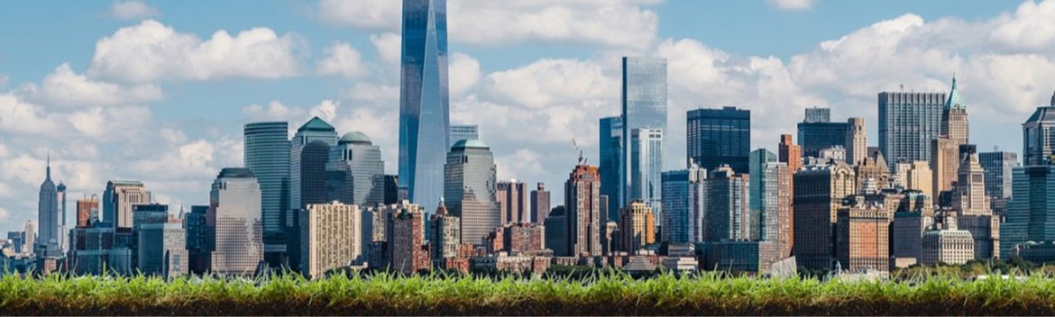 North American Society for Trenchless Technology, City skyline.
