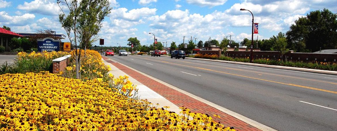 Reynoldsburg, Ohio Main St. Streetscape with blue sky and white clouds with yellow flowers in the foreground.