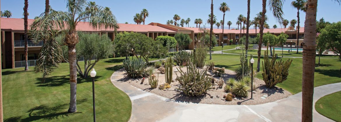 The Fountains at Carlotta view of a public area at the property with palm trees and a pool in the back right, with buildings around the perimeter.