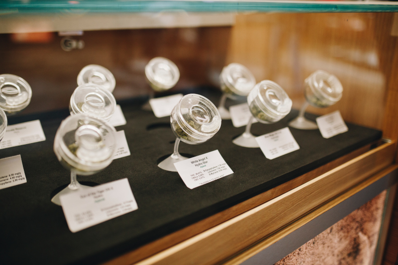 Planet 13 Las Vegas; Sensory Station close up showing samples of cannabis and additional details like thc content.