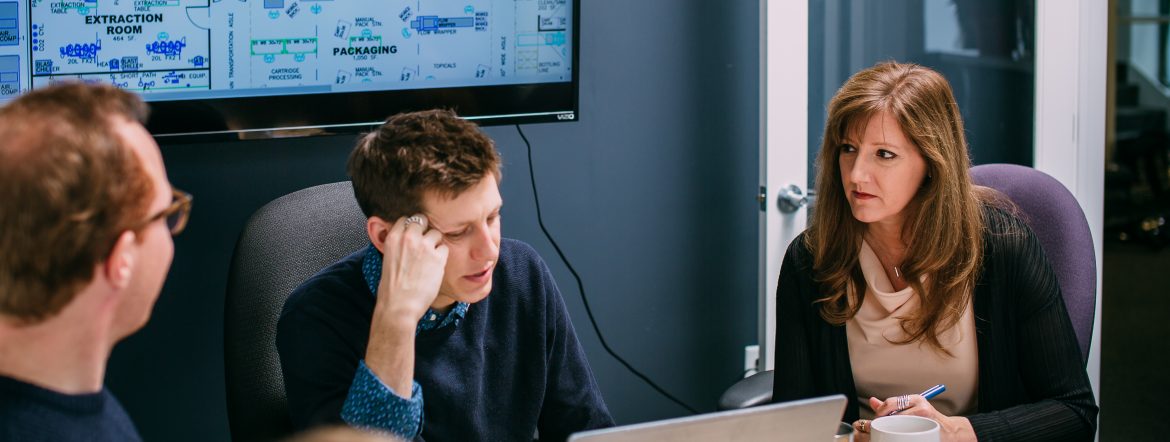 CannaAdvisors Diane Czarkowski sitting down at a meeting with a tv screen showing a blueprint behind them.