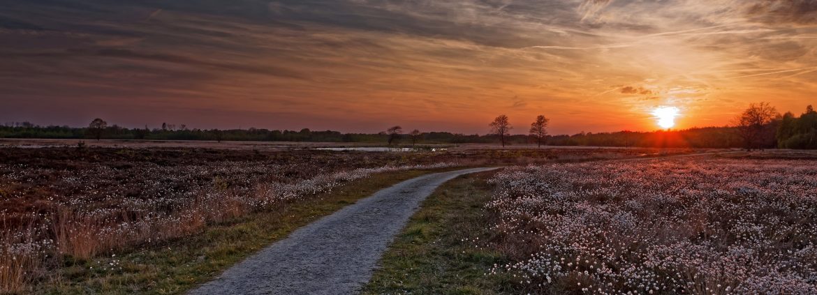 Bloomfield, New Jersey sunset.