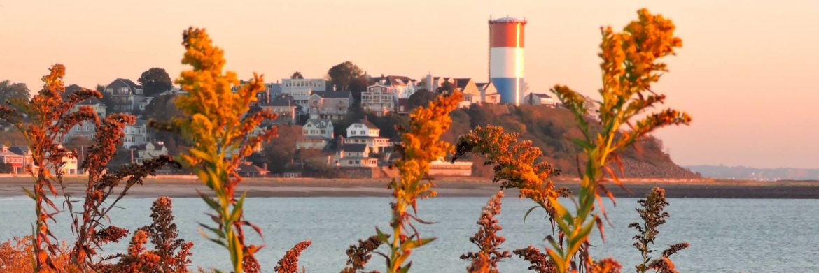 Winthrop, Massachusetts, MA, Fall photo of the shore with some fall colored plants sticking up in the foreground.