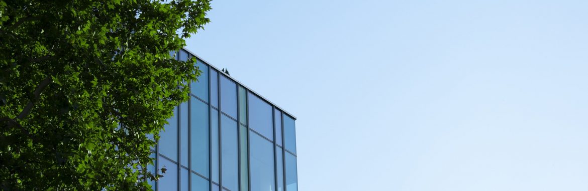 Stock photo from https://pixabay.com/photos/sky-building-blue-green-wood-4040721/ for Why is Energy Efficiency Important to Businesses?