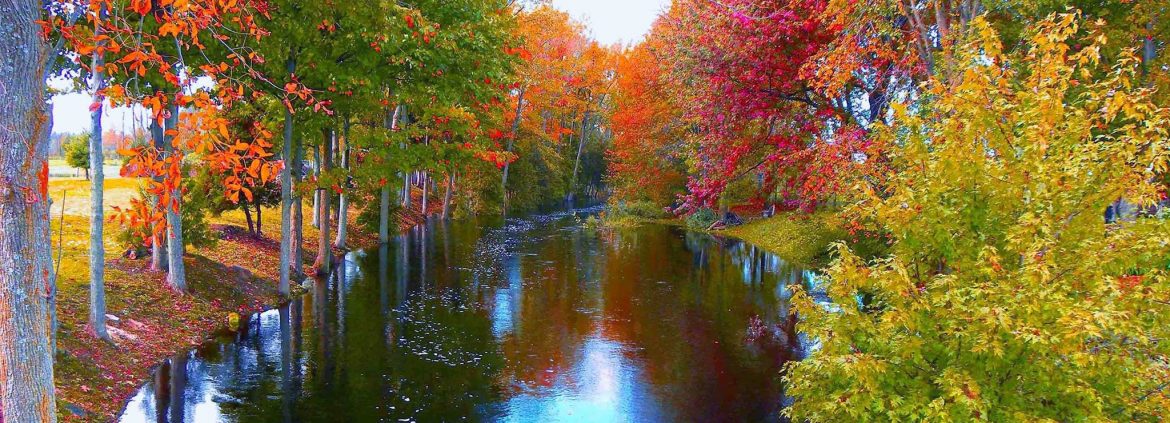 South Stormont Township, Ontario river flowing between trees during fall.