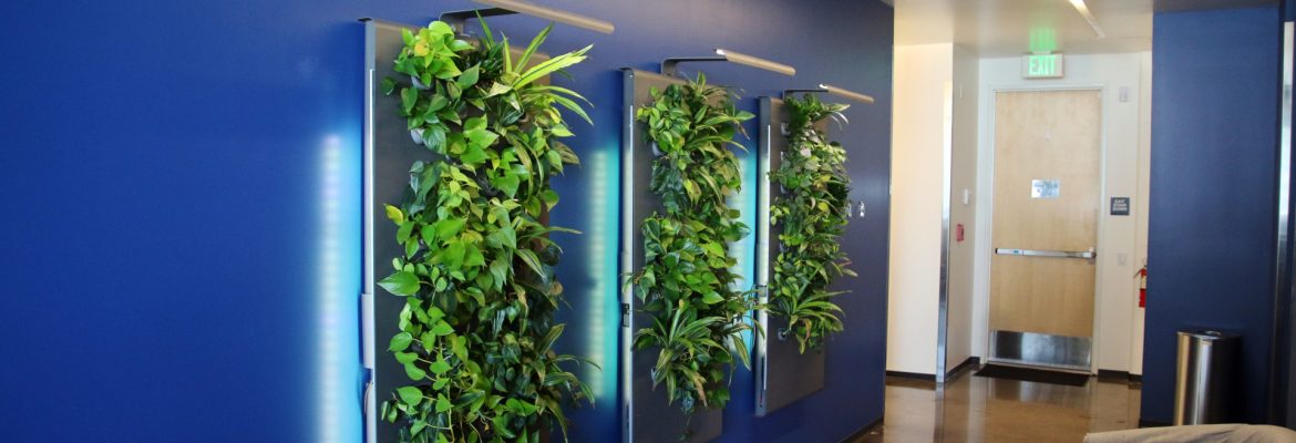 Partner Engineering plantwall inside of a building.