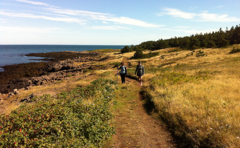 Digby, Nova Scotia Brier Island western shoreline trail.