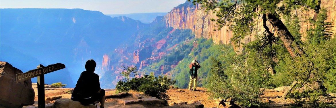 Grand Canyon Plaza Hotel view of the Grand Canyon with a person sitting on a rock looking out and another person standing nearby.