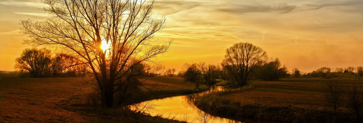 Ingersoll, Ontario Sunset over a river and tree.