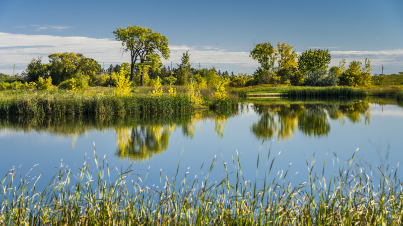The Discovery Nature Sanctuary with fall foliage color in Winkler, Manitoba, Canada.