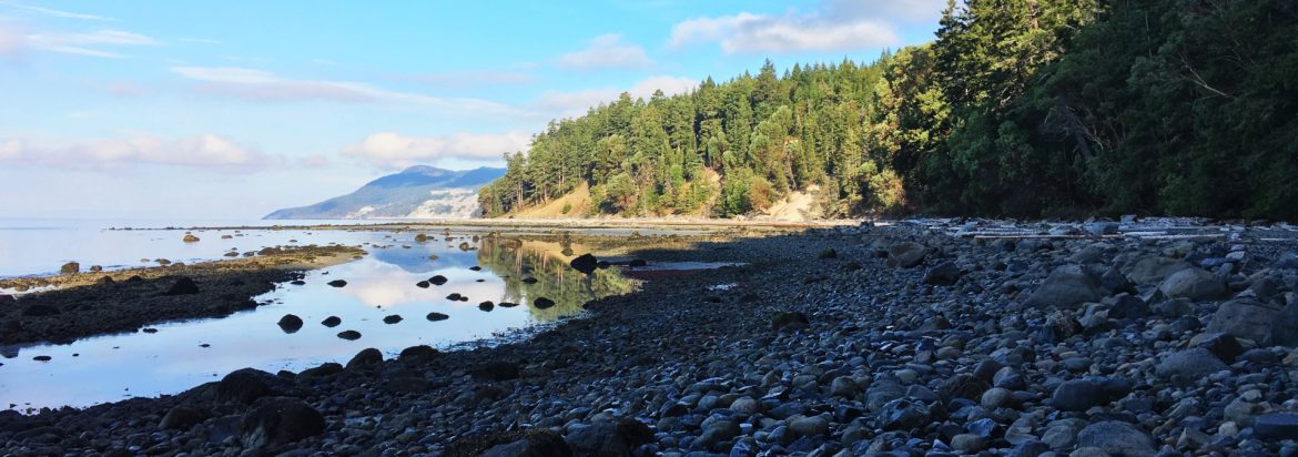 qathet Regional District Sandbanks.