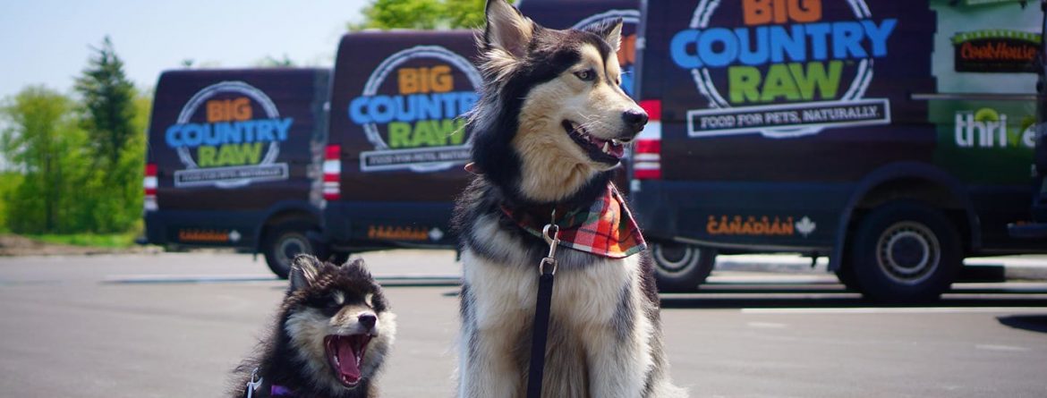 Big Country Raw delivery trucks with two dogs in the parking lot.