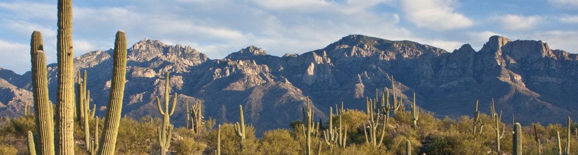 Tucson, Arizona scenic view of cacti and mountains with cloudy sky behind.