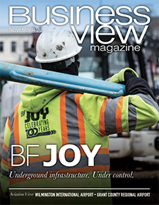November 2020 Issue cover of Business View Magazine