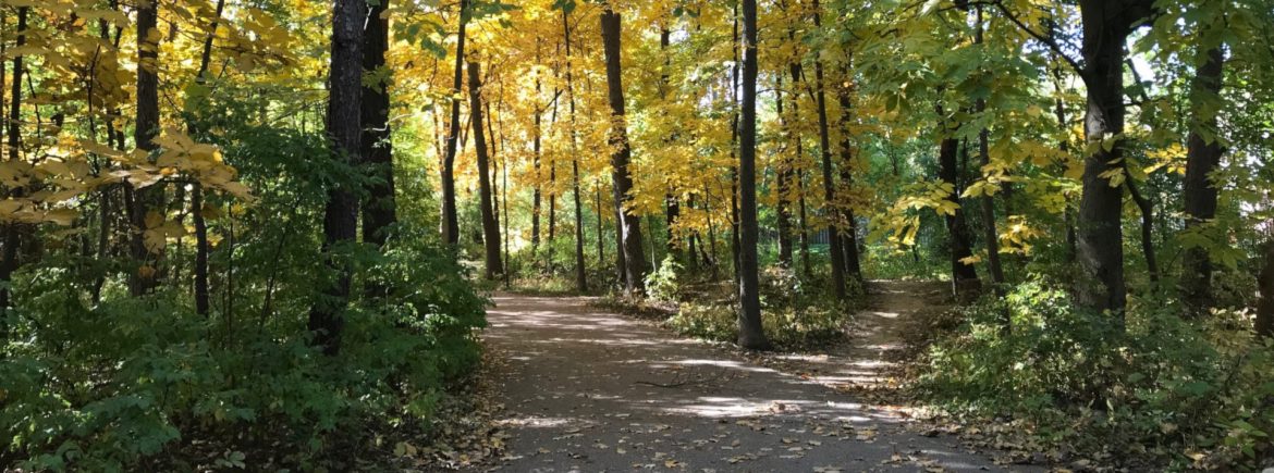 LaSalle Ontario Trail view of path and trees.
