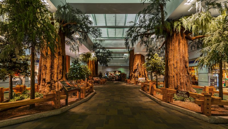 Fresno Yosemite Airport FAT Main lobby Circulation – Sequoia/Yosemite National Park sense of place