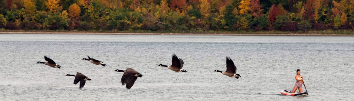 Town of Massena, New York
