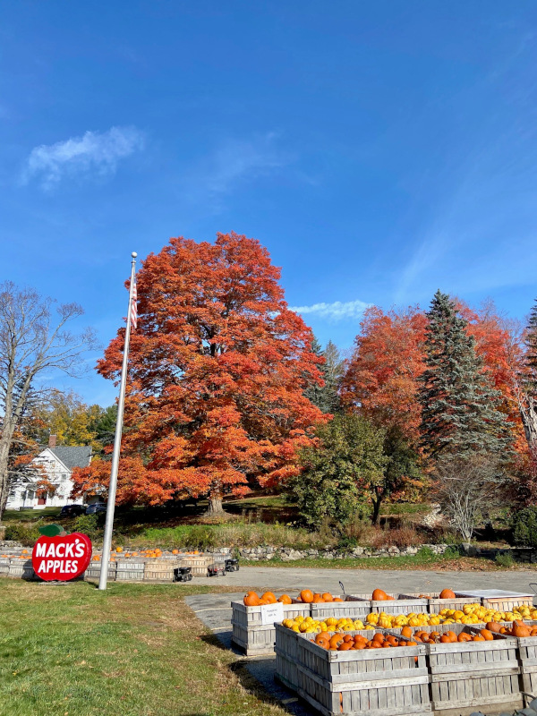Londonderry, New Hampshire
