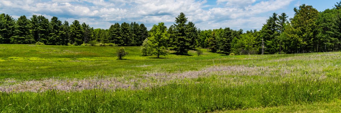 Town of Milton, New York