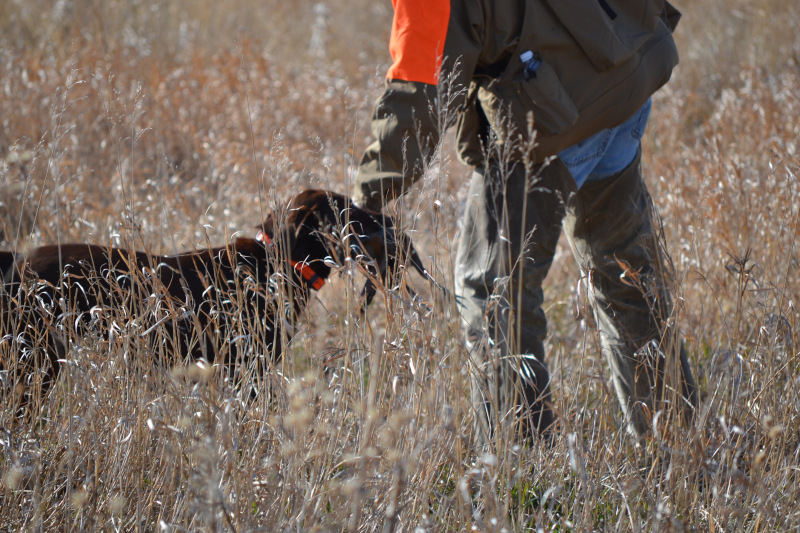 Pierre, South Dakota
