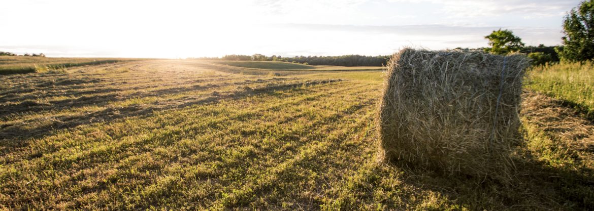 Municipality of Brockton, Ontario