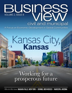 Volume 2 Issue 8 cover of Business View Civil and Municipal