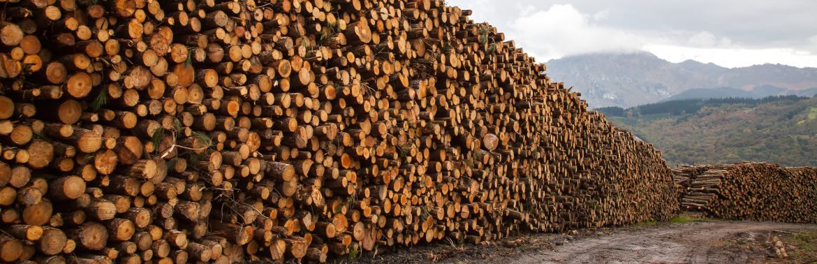 The Sustainability Consortium