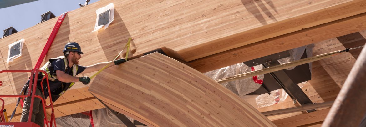 The Sustainable Forestry Initiative