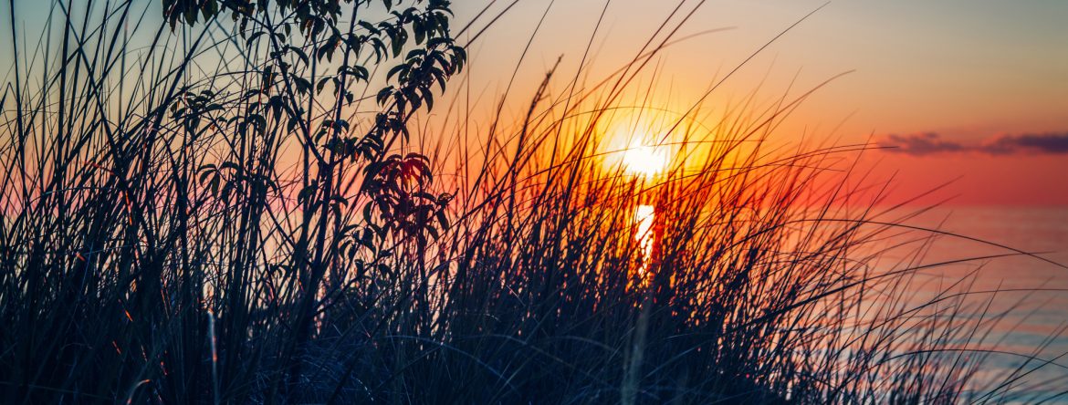 Town of Plympton-Wyoming, Ontario