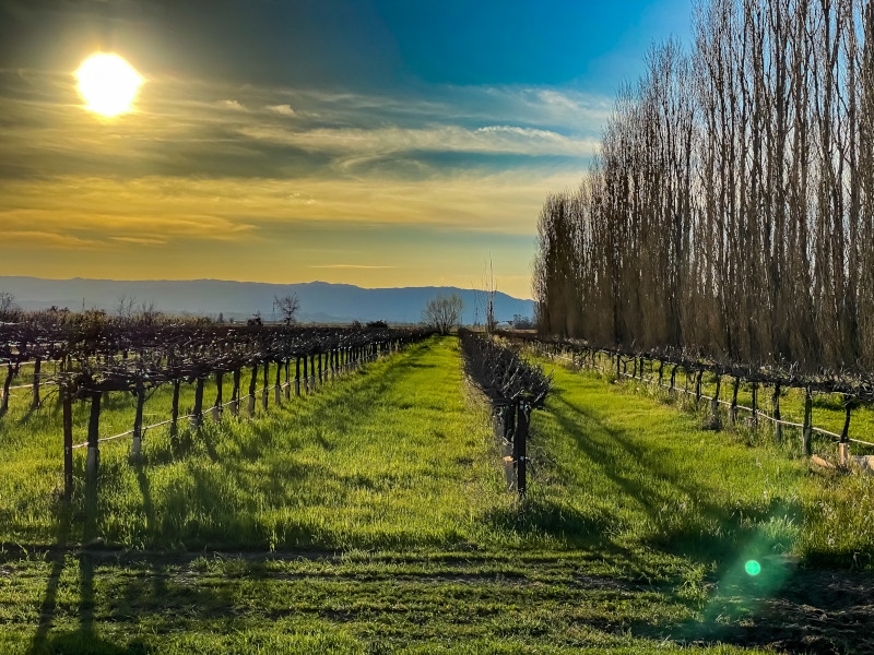 City of Dixon, California