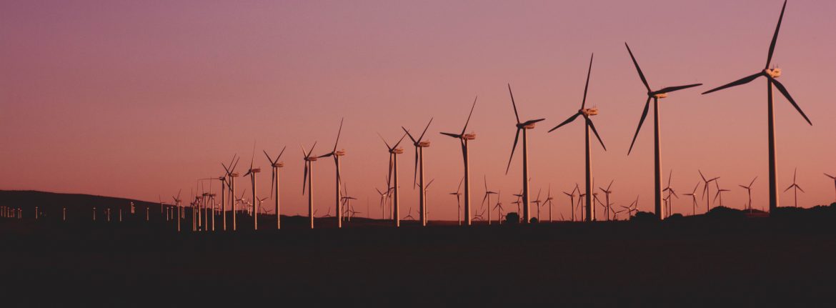 Business Council for Sustainable Energy