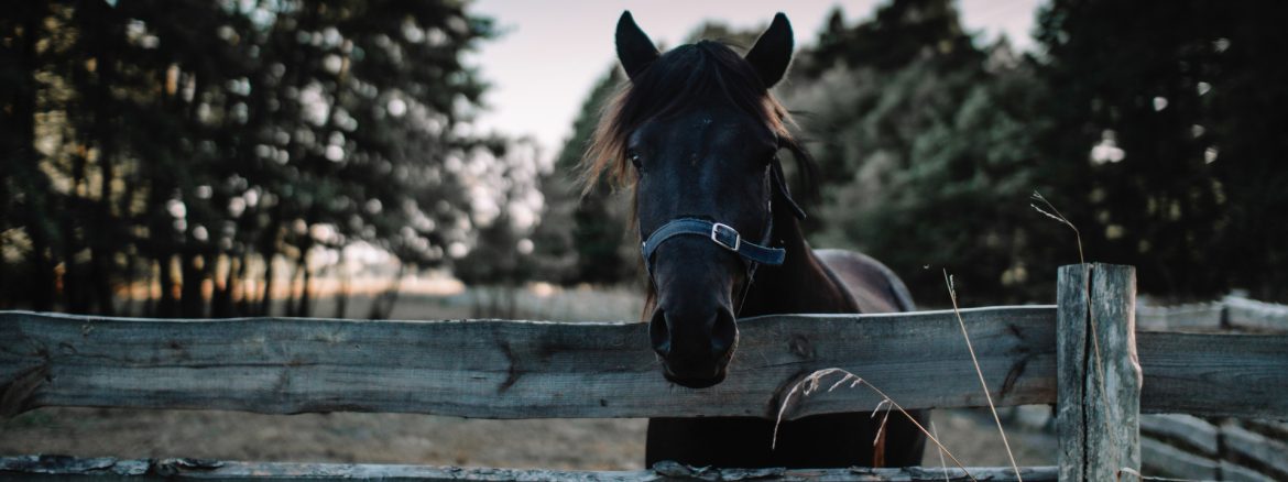 The League of Agricultural and Equine Centers