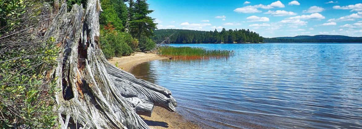 Ontario Building More Resilient Hospitals in Muskoka Algonquin