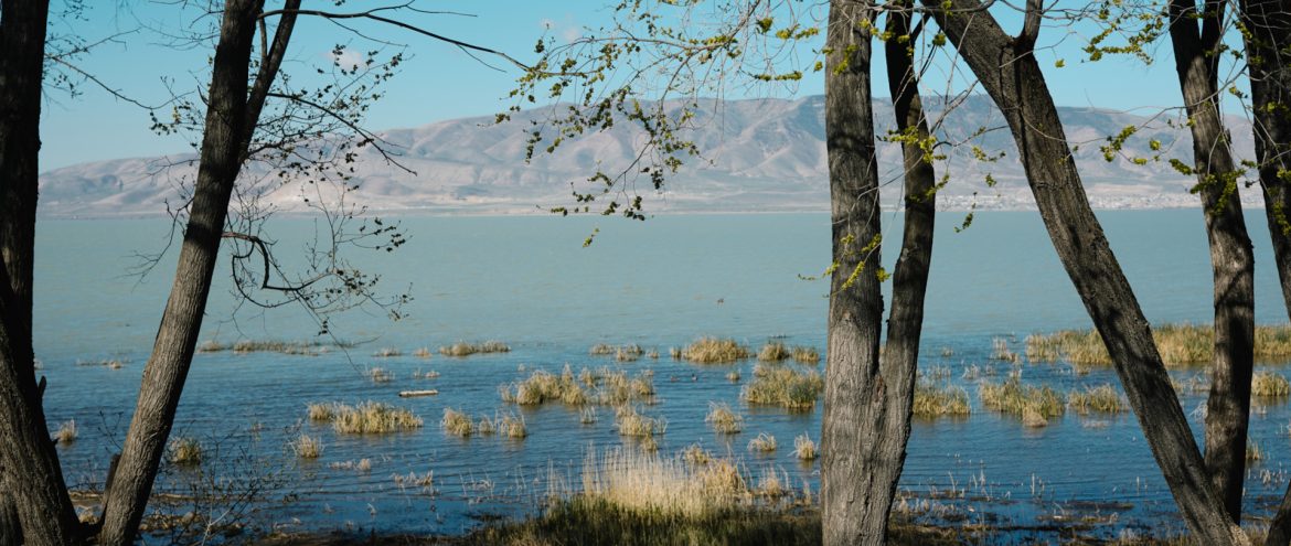 Vineyard, Utah - Utah County
