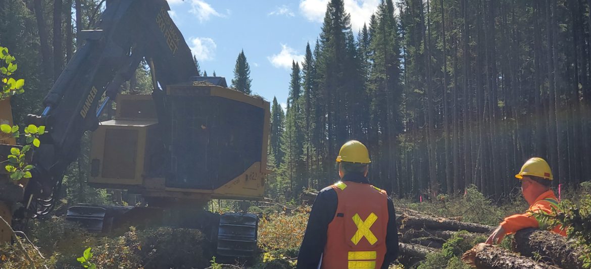 Dryden Forest Management Company Ltd. - Dryden district in Northwestern Ontario