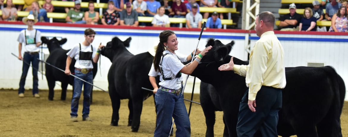Missouri State Fair - Sedalia, Missouri