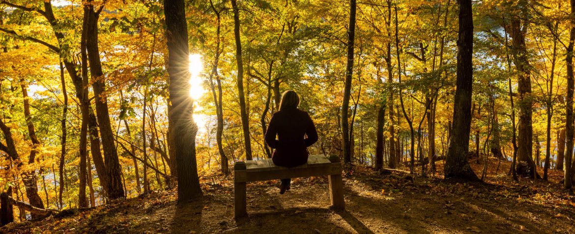 Pulaski County, Virginia - Blacksburg-Christianburg, Virginia metropolitan