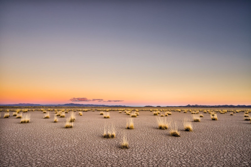 New Mexico Economic Development Department