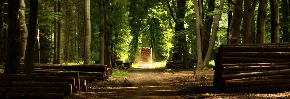 Use Of Mass Timber and Improved Site Planning