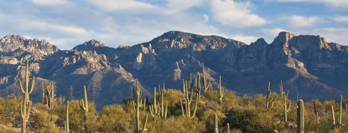 Tucson, Arizona - Pima County