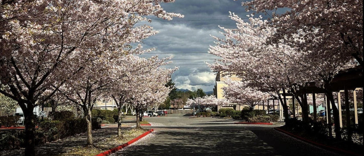 Covington, Washington - King County