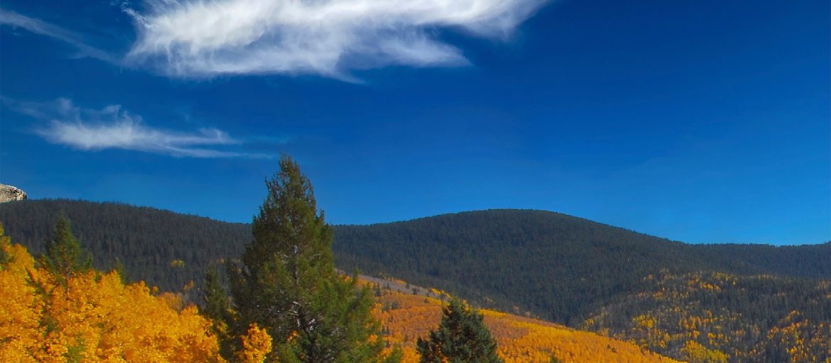 New Mexico Municipal League - Santa Fe, New Mexico