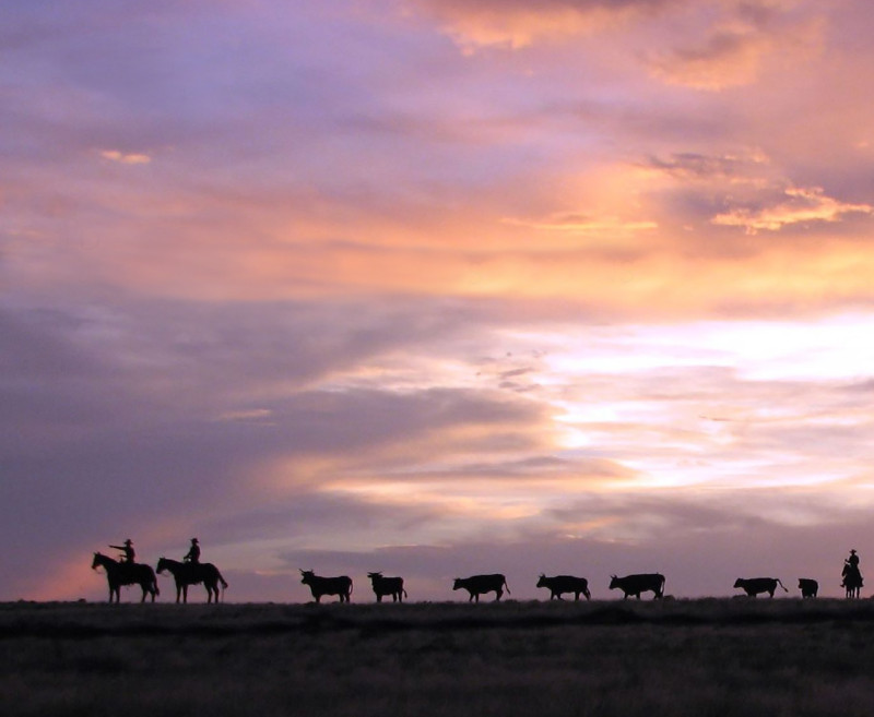 New Mexico Municipal League - Santa Fe, New Mexico