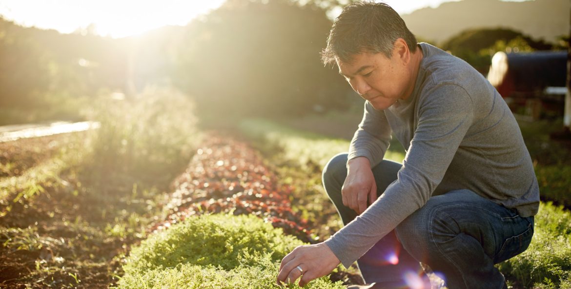 Roy Yamaguchi Restaurants - Hawaii