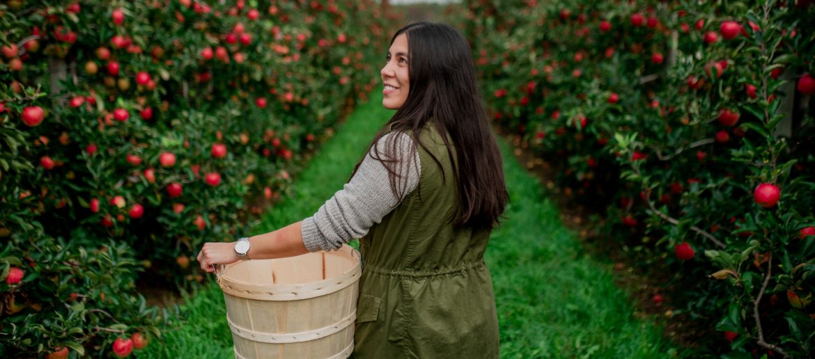 Elgin County - Southwest Ontario, bordering Lake Erie