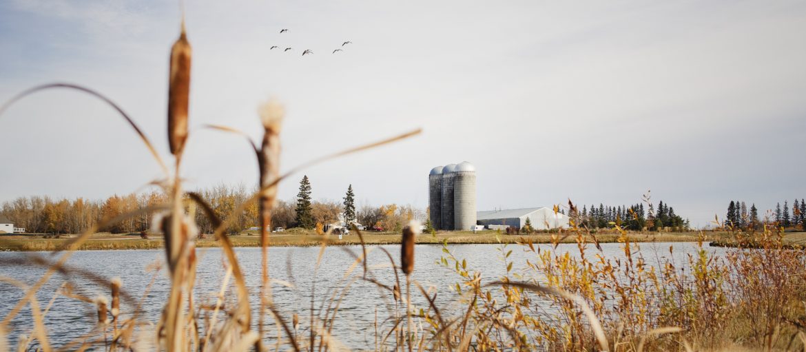 Stony Plain, Alberta - Edmonton Metropolitan Region